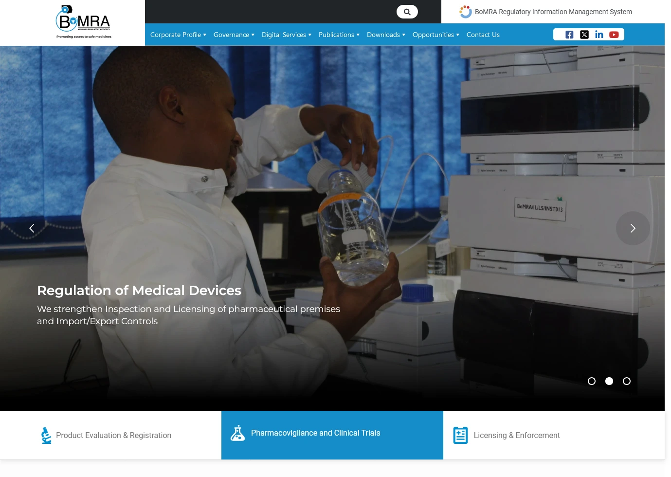 Image hover effect image