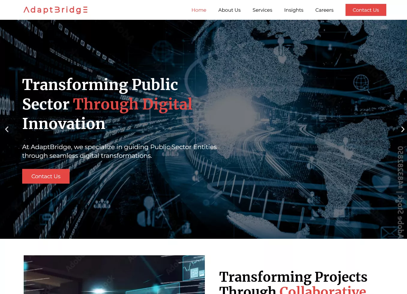 Image hover effect image