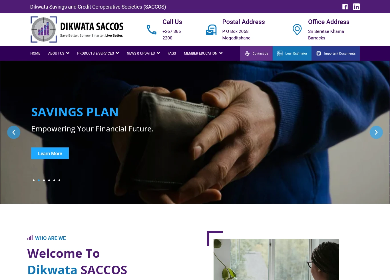 Image hover effect image