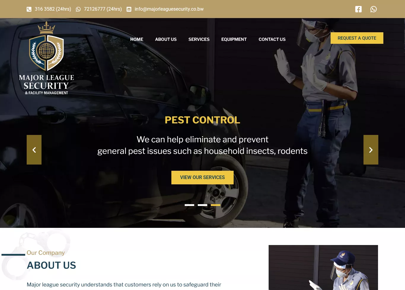 Image hover effect image